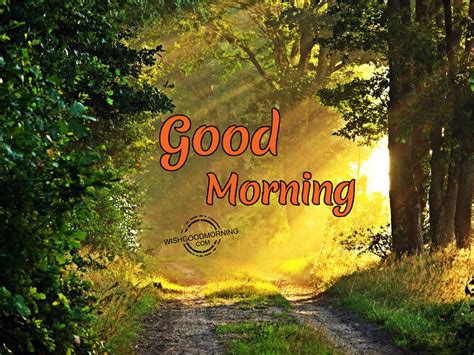 Best morning pic - These Pics are perfect for sending to friends and family via social media sites such as WhatsApp, Facebook, Twitter, Pinterest, and others. Through these charming Good Morning Pictures, we hope to help you build your relationships and spread positivity. Feel free to browse and share these pictures and allow them to brighten your …